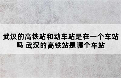 武汉的高铁站和动车站是在一个车站吗 武汉的高铁站是哪个车站